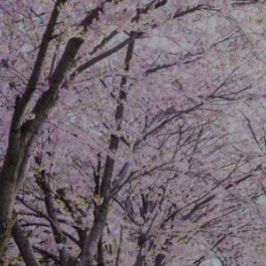 Meet your Posher, Solarah